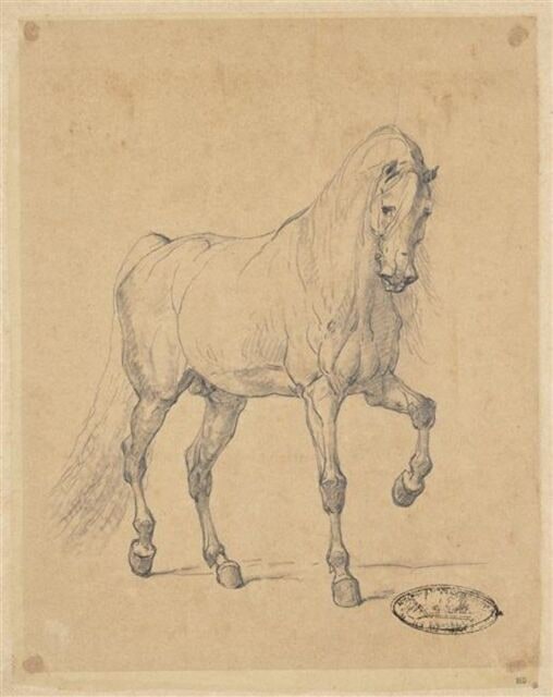 Etude de cheval