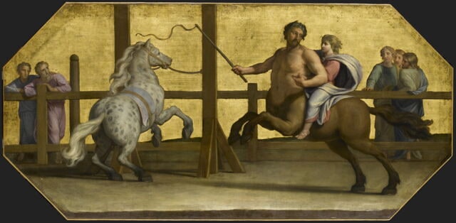 L'éducation d'Achille : la leçon d'équitation