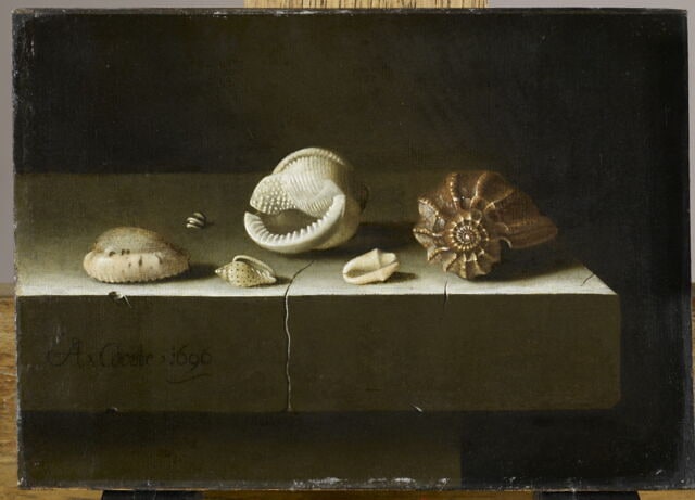 Six coquillages sur une tablette de pierre