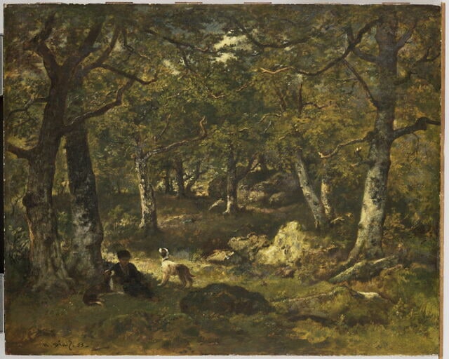 Sous-bois