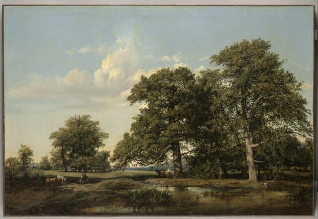 Paysage