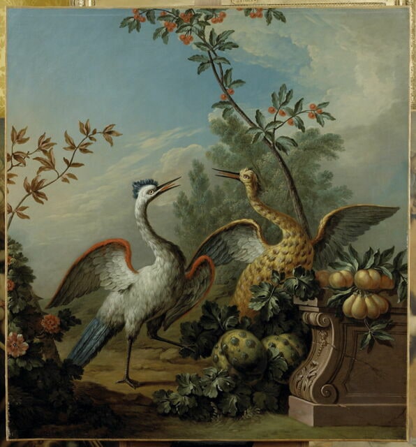 Deux hérons et des fruits