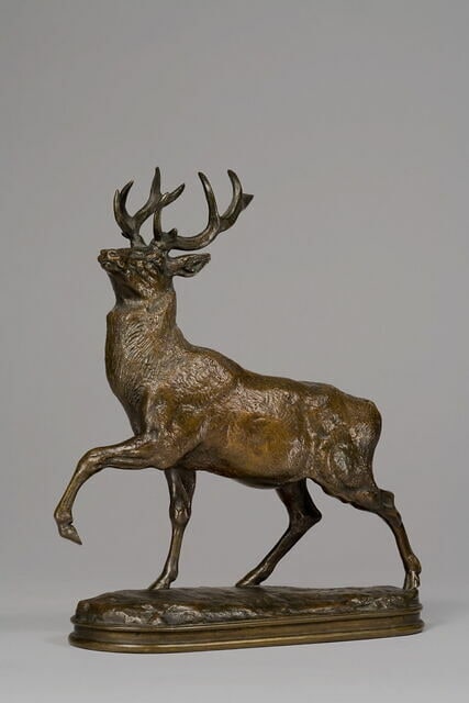 Cerf la patte levée