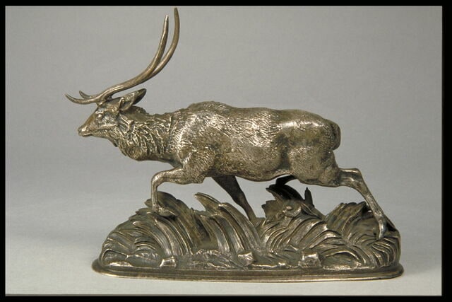 Cerf de Java