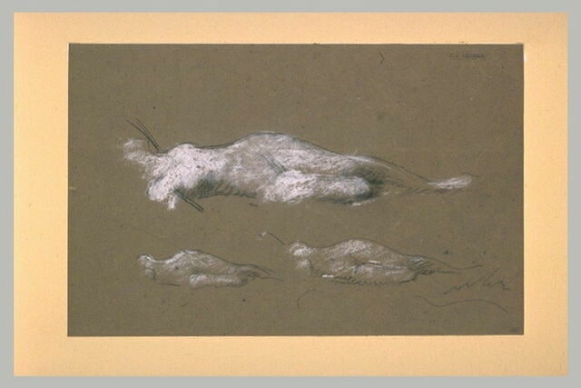 Trois études de femme nue allongée