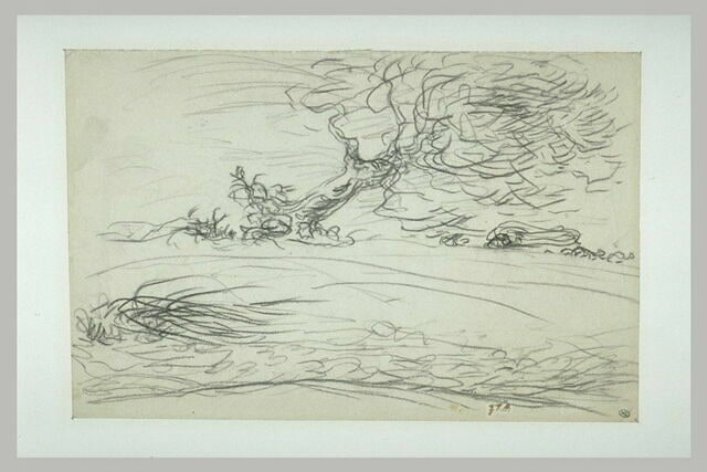 Paysage de plaine balayé par le vent