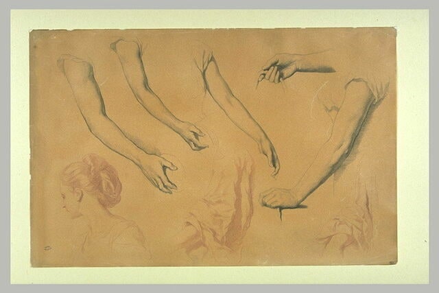 Bras, buste de femme, main et études de manches
