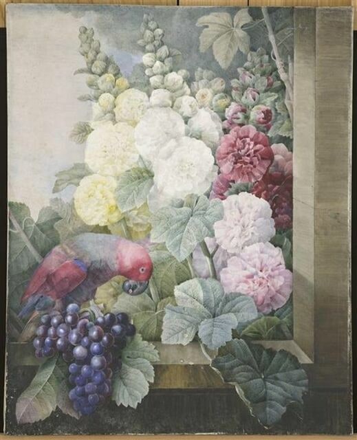 Fleurs : roses trémières, raisins, et le lori cramoisi