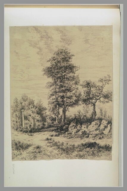Chemin en forêt