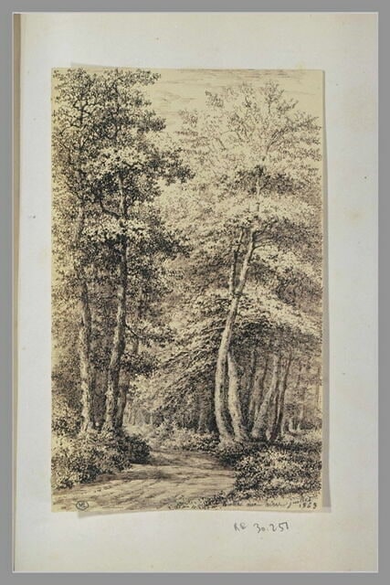 Chemin en forêt