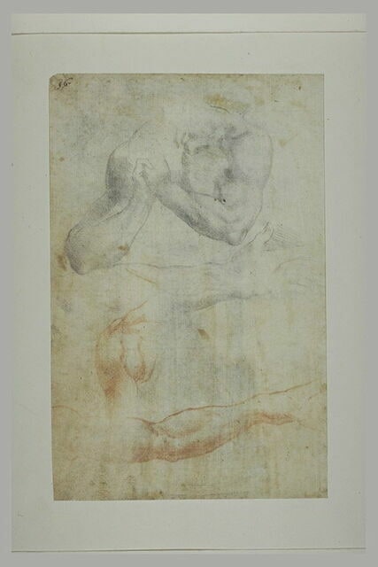Etudes d'un torse aux mains jointes d'une épaule, de deux avant-bras