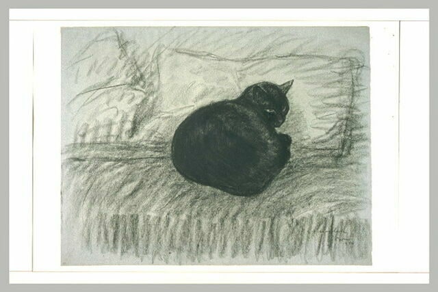 Chat noir couché en boule sur un divan