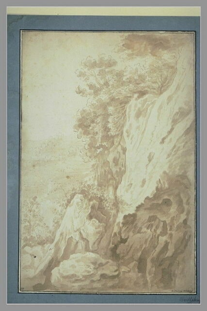 Paroi rocheuse où poussent des arbustes