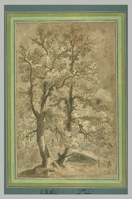 Etude de deux grands arbres