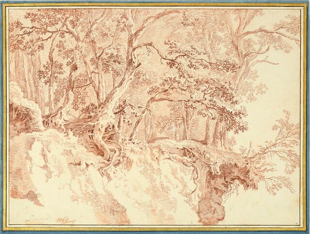 Etude d'arbres sur des rochers