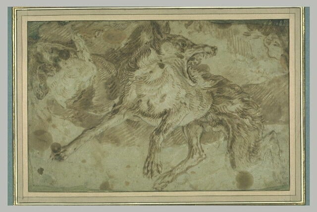 Deux chiens renversés