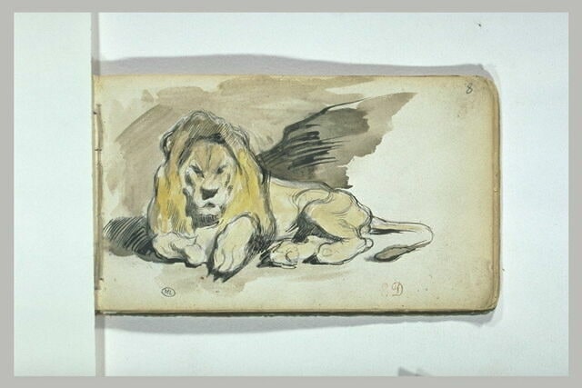 Lion