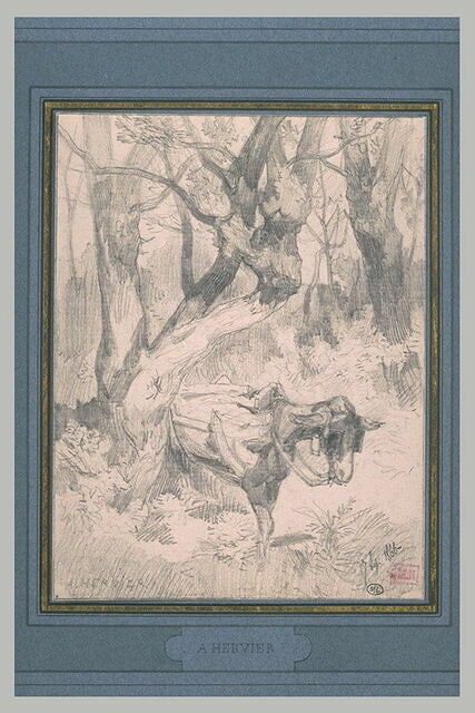 Un âne bâté dans un bois