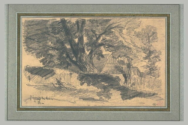 Gros arbre cachant un bâtiment