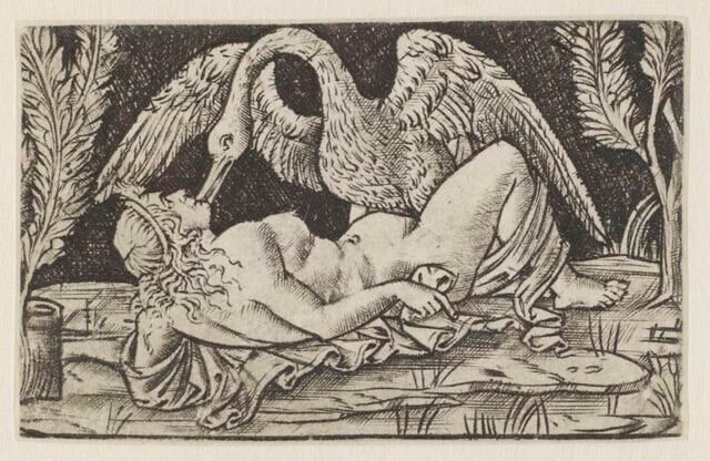 Leda