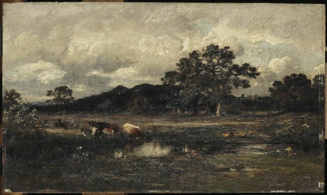 Vaches auprès d'une mare