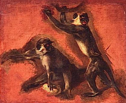 Double étude d'un singe