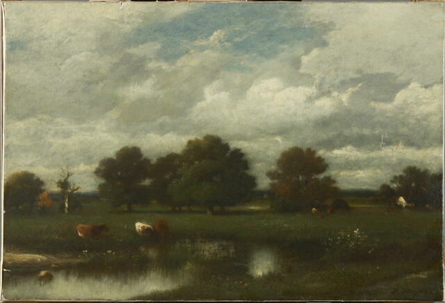 Pâturage en Normandie
