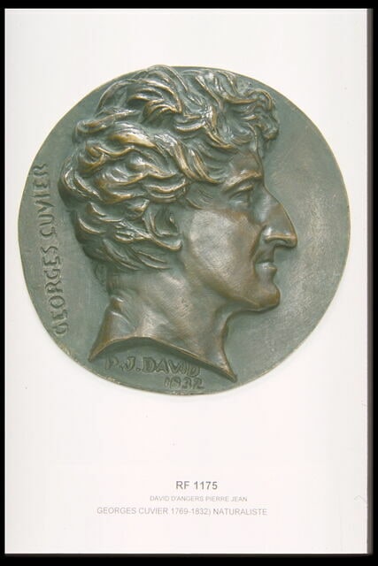 Georges Cuvier