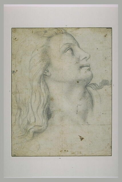 Tête de jeune femme, de profil, tournée vers la droite, le regard levé
