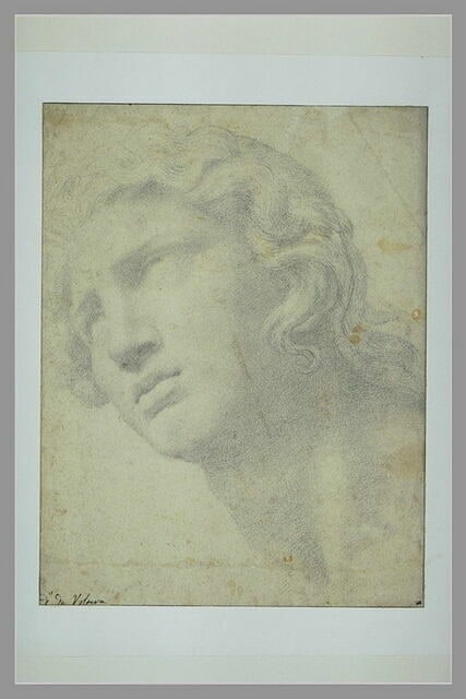 Tête de jeune homme vue de trois quarts