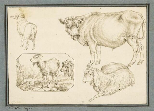 Etudes de deux moutons, d'une vache, et dans un cadre, de deux chèvres