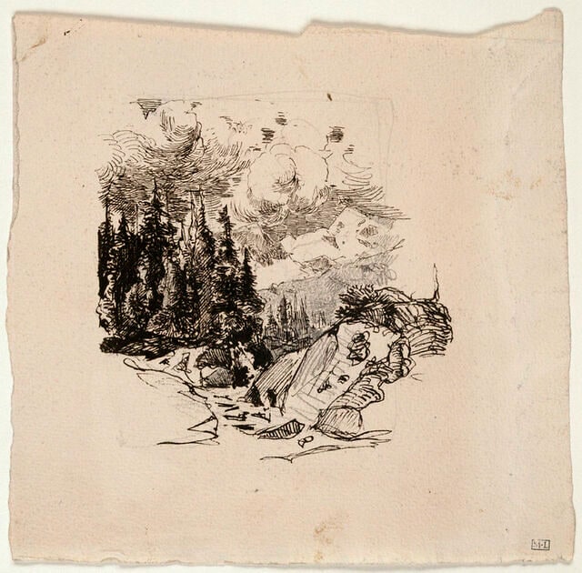 Paysage avec torrent en haute montagne
