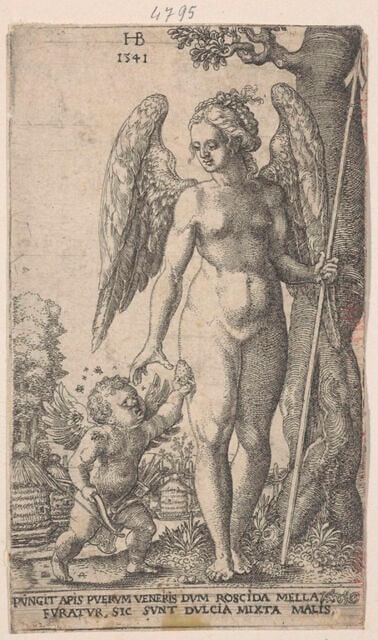 Vénus et l'Amour