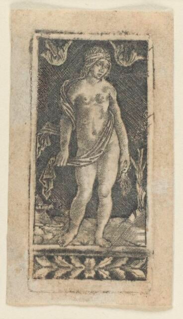 Vénus