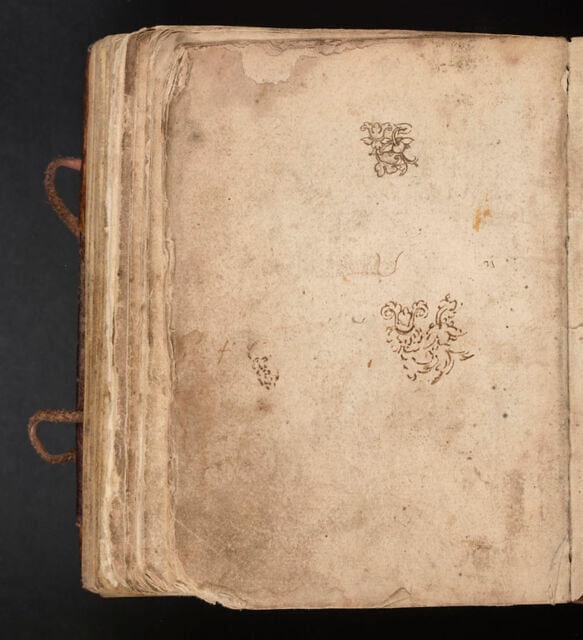 Deux études de rameaux végétaux stylisés ; esquisse de tête d'homme barbu de trois quarts vers la gauche (saint Jérôme ?)