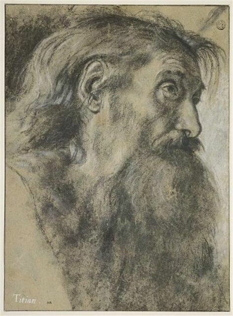 Tête de vieillard, de profil, avec une longue barbe noire