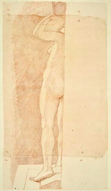 Femme nue, debout, vue par derrière et en partie seulement