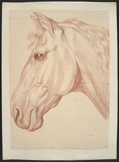 Tête de cheval, de profil vers la gauche