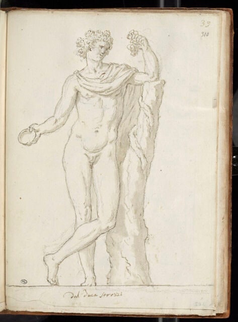 Bacchus vu de face