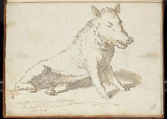 Le Sanglier dit 'Il porcellino'