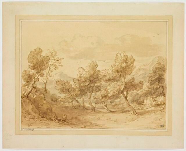 Paysage aux arbres tourmentés par le vent