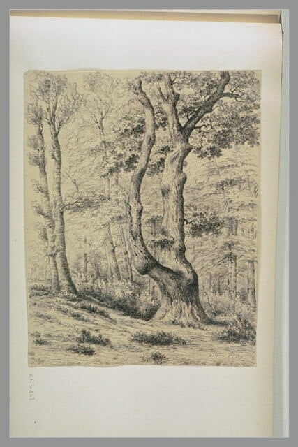Forêt : 'Bas Bréau 8bre 1850'