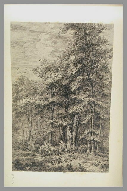 Forêt : 'Mont St Père 6 9bre 1855'