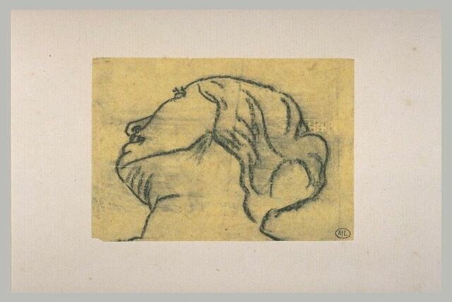 Tête de femme, vue d'en bas