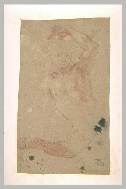 Torse d'adolescent, et bras