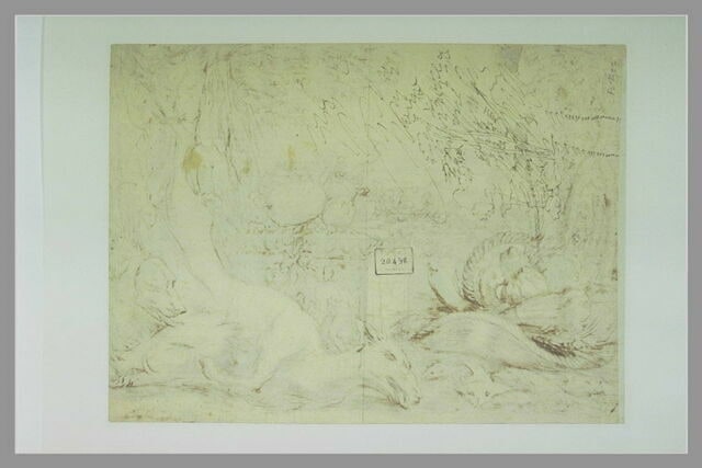 Etude d'arbre