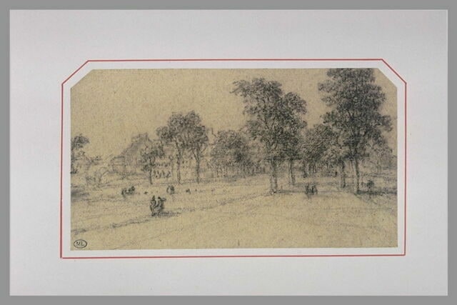Allée bordée d'arbres