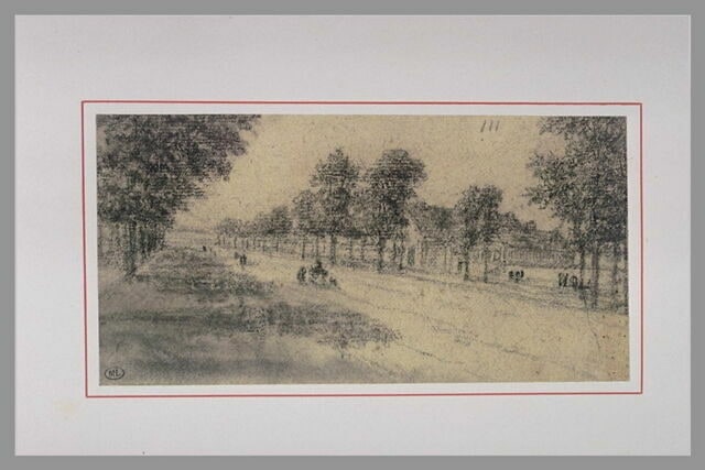 Allée bordée d'arbres