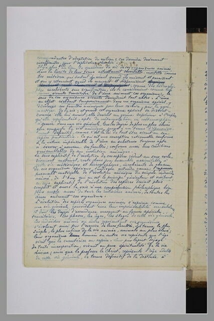 Notes manuscrites