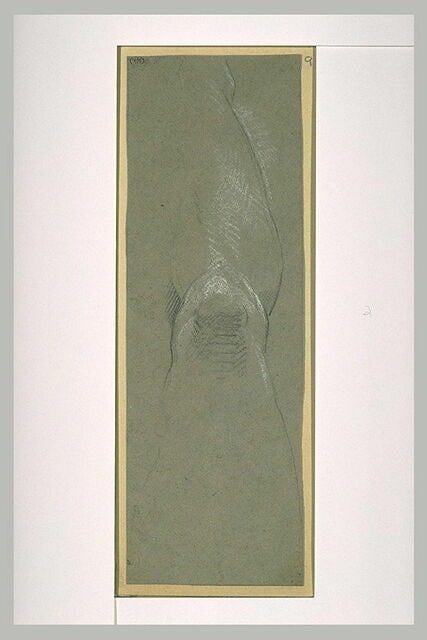 Etude de jambe gauche, de face